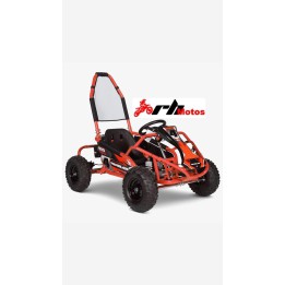 Buggy de gasolina 100 cc