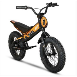 Bicicleta eléctrica infantil 350 W 16″