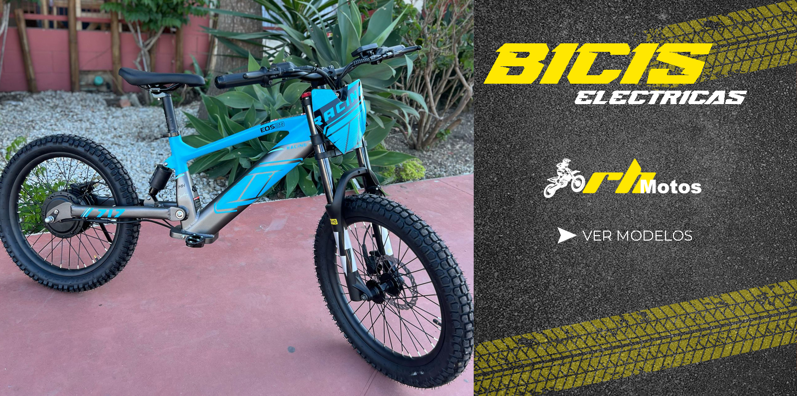 BICIELECTRICA